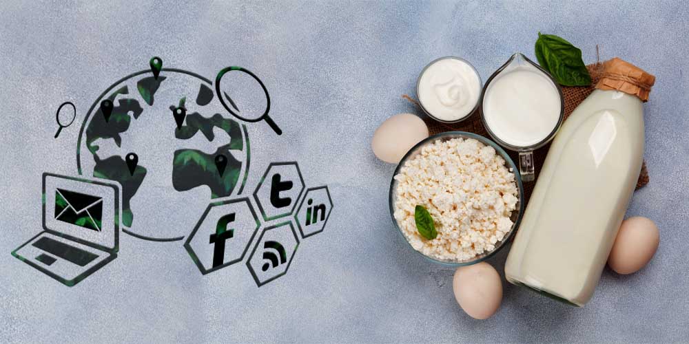 boost your dairy business online