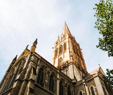 Best SSMD Marketing Firms Australia