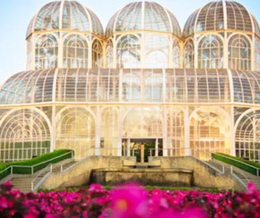 Best SSMD Marketing Services Company Brazil