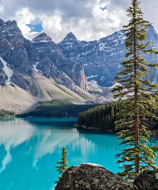 Best SSMD Marketing Services Canada