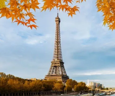 SSMD Marketing Services Near Me France