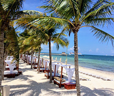 Leading SSMD Marketing Agency Mexico