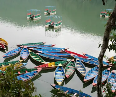 Best SSMD Marketing Firms Nepal