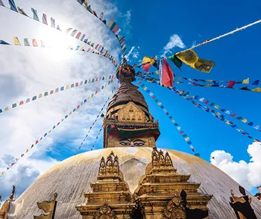 SSMD Marketing Services Near Me Nepal