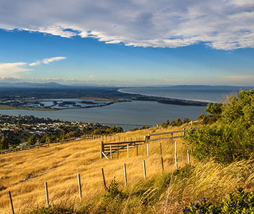 Best SSMD Marketing Firms New Zeland