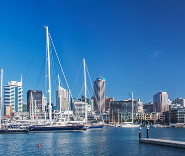 SSMD Marketing Services Near Me New Zeland