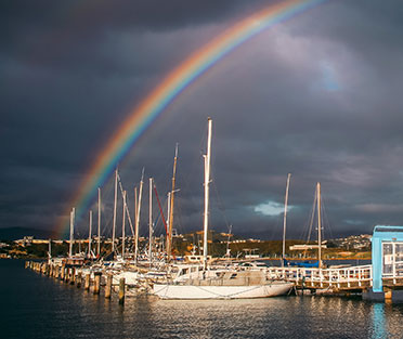 Leading SSMD Marketing Agency New Zeland