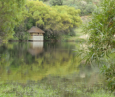 Best SSMD Marketing Expert South Africa