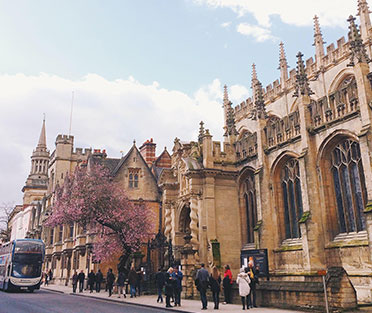 Best SSMD Marketing Expert UK