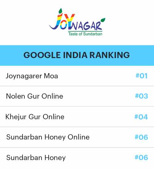 Organic SEO Services in USA