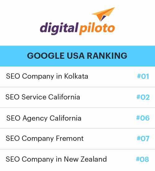Custom SEO Services in USA