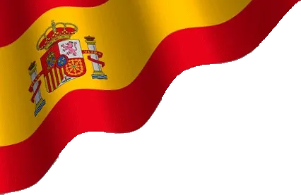 Top SEO Agency in Alicante