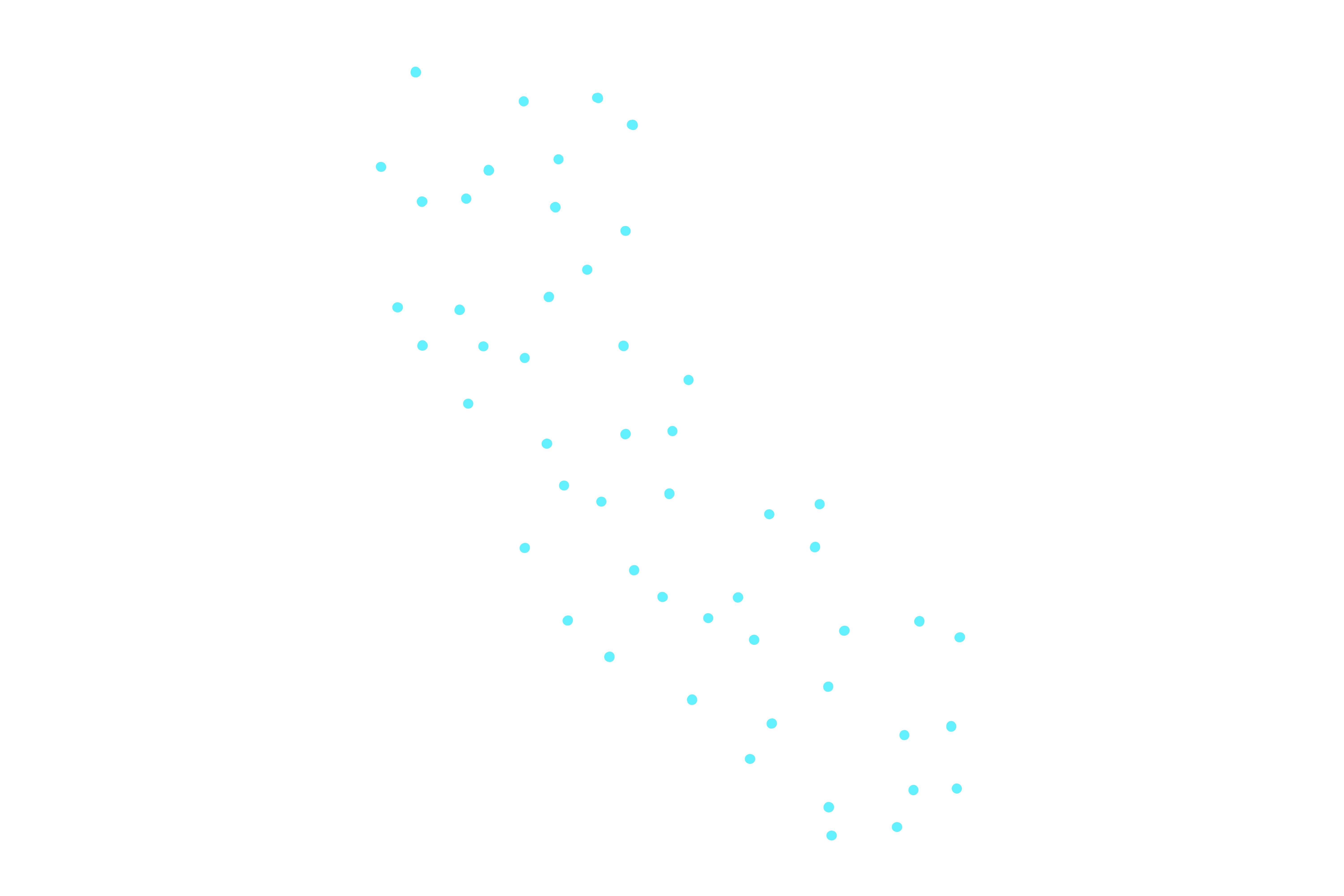 SEO Expert in California