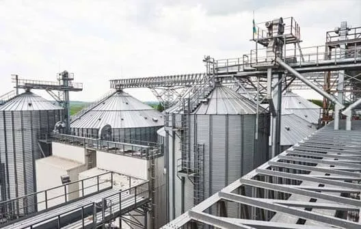 Top SEO Company in Canada Near Me