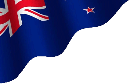 Top SEO Agency in NZ