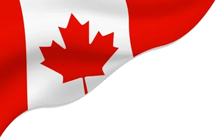 Top SEO Agency in Ottawa