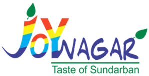 Best SEO Agency in San Mateo Near Me