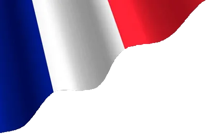 Top SEO Agency in Toulouse