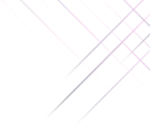 India Web Development Company